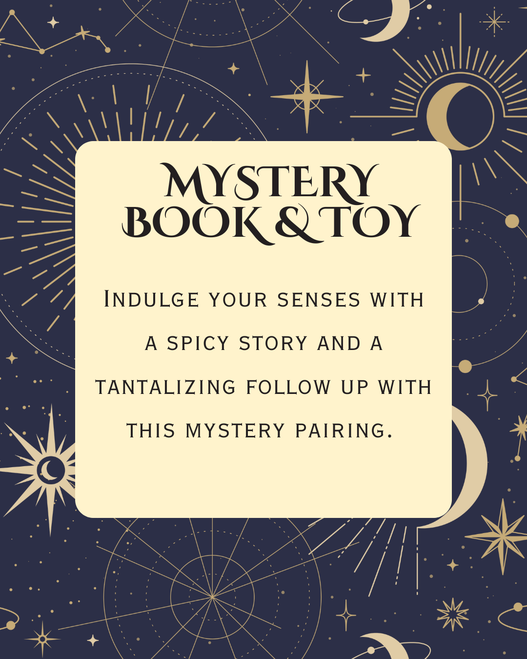 Deluxe Mystery Toy and Book