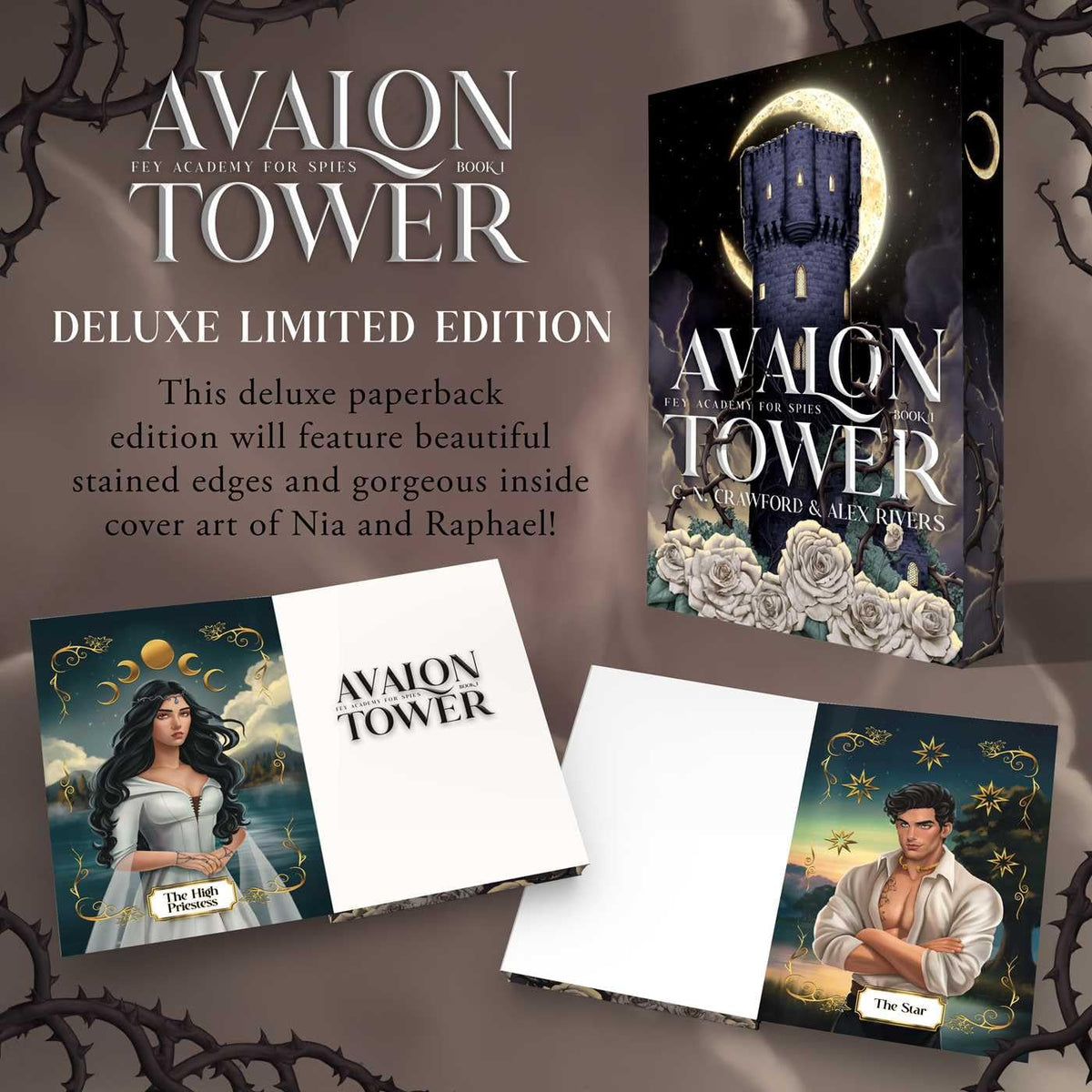 Avalon Tower (Fey Academy for Spies 1) by C.N. Crawford and Alex Rivers  [DELUXE EDITION]