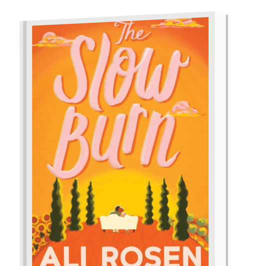 Slow Burn by Ali Rosen